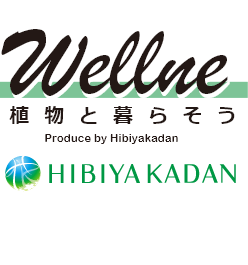 Wellne