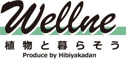 Wellne